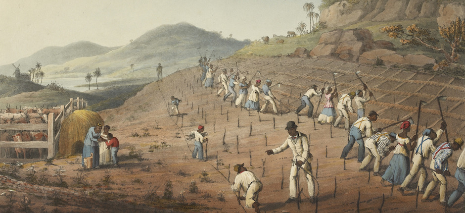 Ten Views in the Island of Antigua, in which are r - caption: 'Digging the Cane-holes'